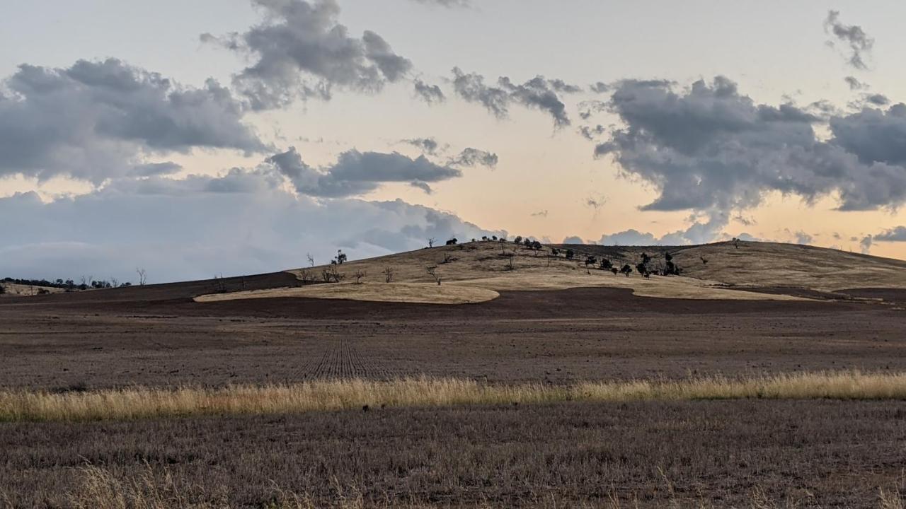 Sierra Villa Lodge Berridale Exteriér fotografie